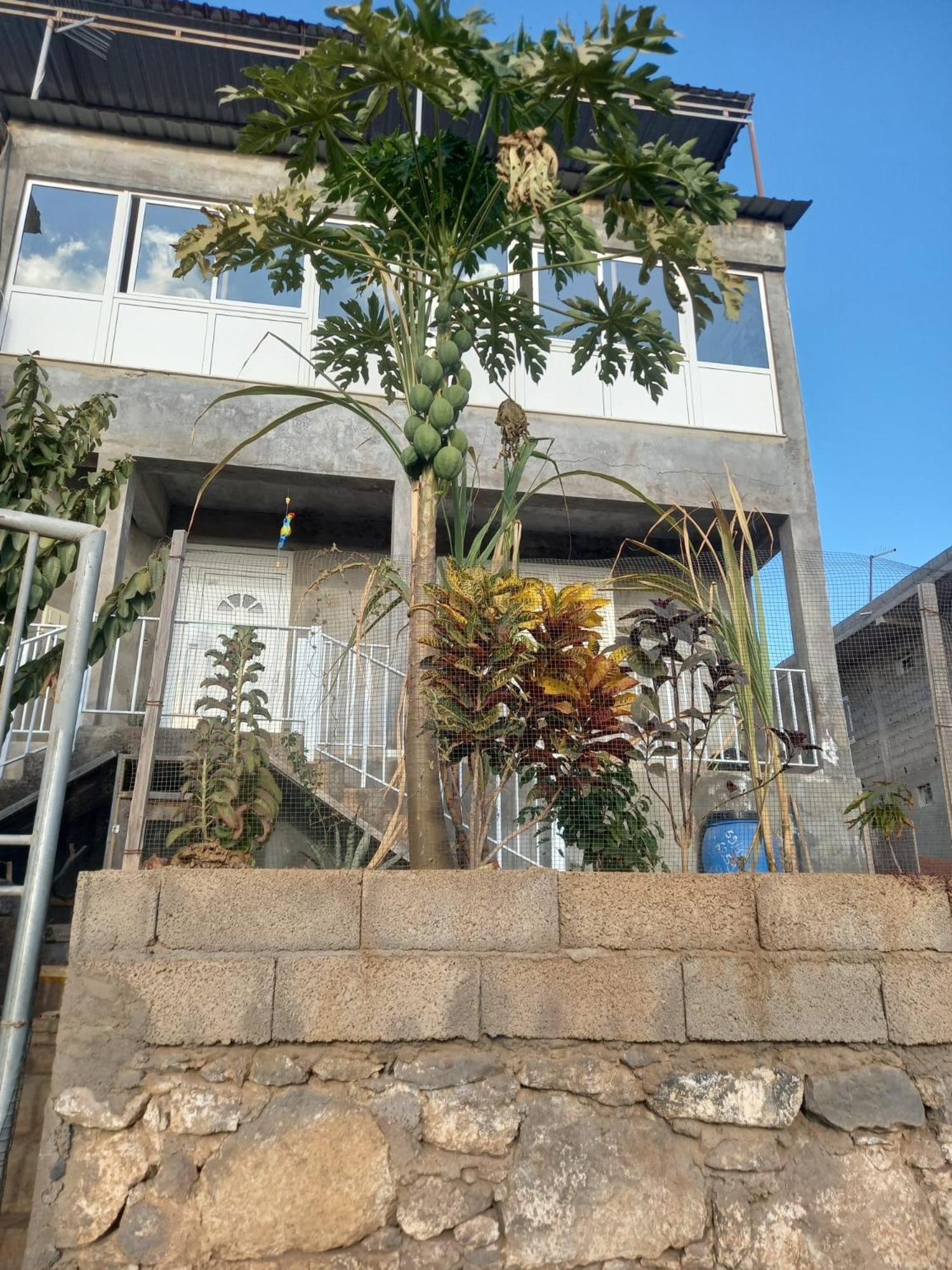 Casa Graciosa Séjour chez l'habitant *